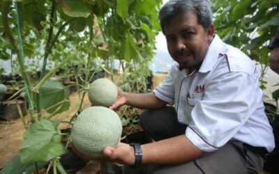 UTM bangunkan Sistem Fertigasi Pertanian Jimat Air