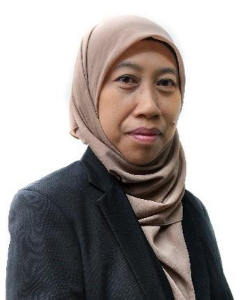Prof. Ir. Dr. Rubita Sudirman